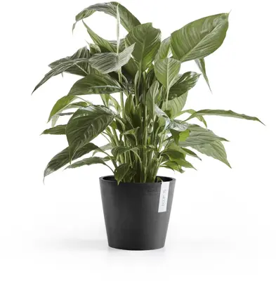 Ecopots kunststof bloempot amsterdam 20x17.7 cm donkergrijs     - afbeelding 2
