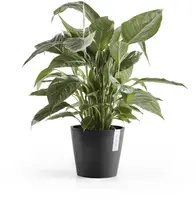 Ecopots kunststof bloempot amsterdam 20x17.7 cm donkergrijs     - afbeelding 2