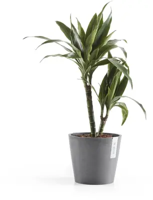 Ecopots kunststof bloempot amsterdam 20x17.7 cm grijs     - afbeelding 4