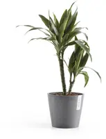 Ecopots kunststof bloempot amsterdam 20x17.7 cm grijs     - afbeelding 4