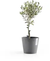 Ecopots kunststof bloempot amsterdam 20x17.7 cm grijs     - afbeelding 5