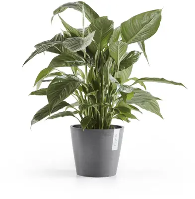 Ecopots kunststof bloempot amsterdam 20x17.7 cm grijs     - afbeelding 2
