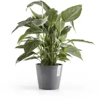 Ecopots kunststof bloempot amsterdam 20x17.7 cm grijs     - afbeelding 2