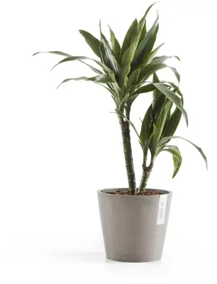Ecopots kunststof bloempot amsterdam 20x17.7 cm taupe     - afbeelding 4