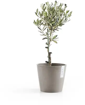 Ecopots kunststof bloempot amsterdam 20x17.7 cm taupe     - afbeelding 5