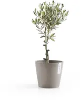 Ecopots kunststof bloempot amsterdam 20x17.7 cm taupe     - afbeelding 5