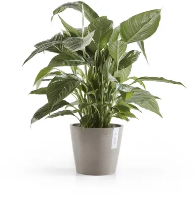 Ecopots kunststof bloempot amsterdam 20x17.7 cm taupe     - afbeelding 2