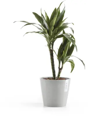 Ecopots kunststof bloempot amsterdam 20x17.7 cm witgrijs     - afbeelding 4