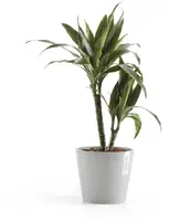 Ecopots kunststof bloempot amsterdam 20x17.7 cm witgrijs     - afbeelding 4