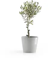 Ecopots kunststof bloempot amsterdam 20x17.7 cm witgrijs     - afbeelding 5