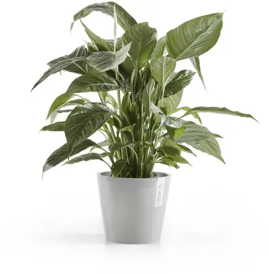 Ecopots kunststof bloempot amsterdam 20x17.7 cm witgrijs     - afbeelding 2