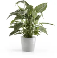 Ecopots kunststof bloempot amsterdam 20x17.7 cm witgrijs     - afbeelding 2