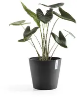 Ecopots kunststof bloempot amsterdam 25x22 cm donker grijs     - afbeelding 8