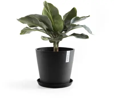 Ecopots kunststof bloempot amsterdam 25x22 cm donkergrijs     - afbeelding 3