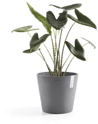 Ecopots kunststof bloempot amsterdam 25x22 cm grijs     - afbeelding 6
