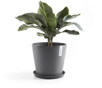 Ecopots kunststof bloempot amsterdam 25x22 cm grijs     - afbeelding 5