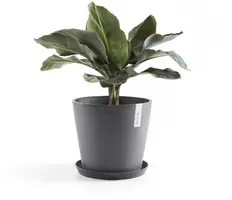 Ecopots kunststof bloempot amsterdam 25x22 cm grijs     - afbeelding 5