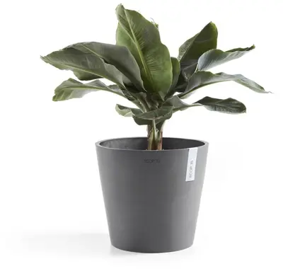 Ecopots kunststof bloempot amsterdam 25x22 cm grijs     - afbeelding 2