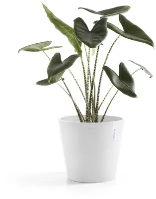 Ecopots kunststof bloempot amsterdam 25x22 cm puurwit     - afbeelding 7