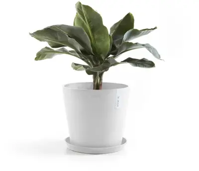 Ecopots kunststof bloempot amsterdam 25x22 cm puurwit     - afbeelding 3