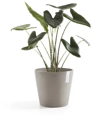Ecopots kunststof bloempot amsterdam 25x22 cm taupe     - afbeelding 8