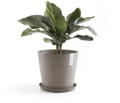 Ecopots kunststof bloempot amsterdam 25x22 cm taupe     - afbeelding 3