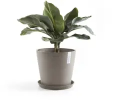 Ecopots kunststof bloempot amsterdam 25x22 cm taupe     - afbeelding 3