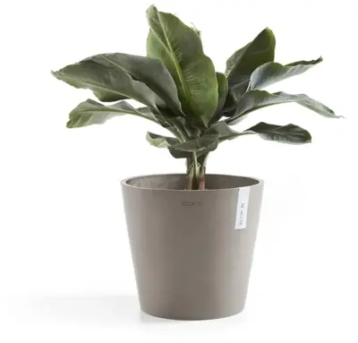 Ecopots kunststof bloempot amsterdam 25x22 cm taupe     - afbeelding 2