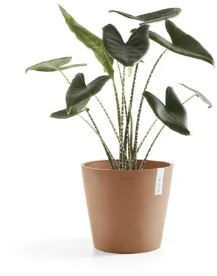 Ecopots kunststof bloempot amsterdam 25x22 cm terracotta     - afbeelding 7