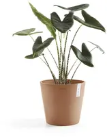 Ecopots kunststof bloempot amsterdam 25x22 cm terracotta     - afbeelding 7