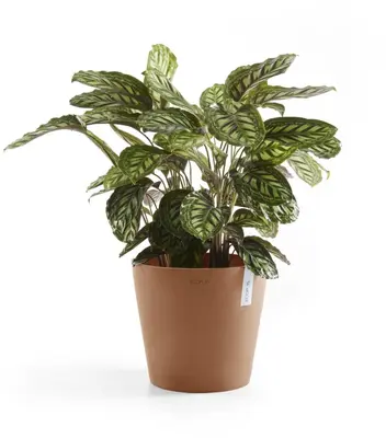 Ecopots kunststof bloempot amsterdam 25x22 cm terracotta     - afbeelding 9