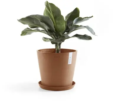 Ecopots kunststof bloempot amsterdam 25x22 cm terracotta     - afbeelding 4