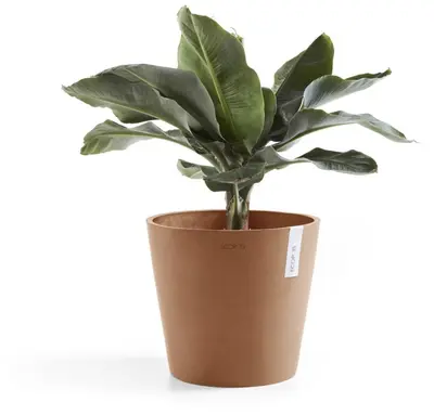 Ecopots kunststof bloempot amsterdam 25x22 cm terracotta     - afbeelding 2