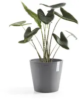 Ecopots kunststof bloempot amsterdam 30x26.3 cm grijs     - afbeelding 2