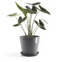 Ecopots kunststof bloempot amsterdam 30x26.3 cm grijs     - afbeelding 4