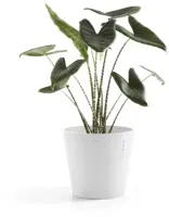 Ecopots kunststof bloempot amsterdam 30x26.3 cm puurwit     - afbeelding 2