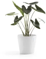 Ecopots kunststof bloempot amsterdam 30x26.3 cm puurwit     - afbeelding 7