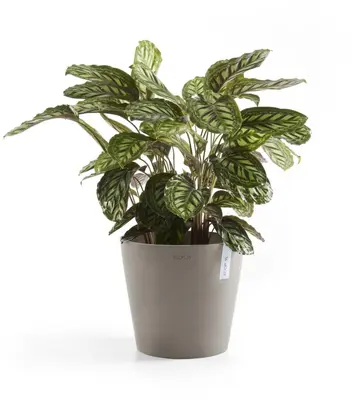 Ecopots kunststof bloempot amsterdam 30x26.3 cm taupe     - afbeelding 5