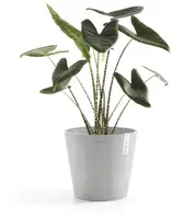 Ecopots kunststof bloempot amsterdam 30x26.3 cm witgrijs     - afbeelding 2