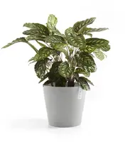 Ecopots kunststof bloempot amsterdam 30x26.3 cm witgrijs     - afbeelding 6