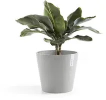 Ecopots kunststof bloempot amsterdam 30x26.3 cm witgrijs     - afbeelding 5