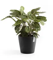Ecopots kunststof bloempot amsterdam 40x35 cm donker grijs     - afbeelding 8
