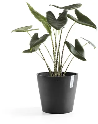 Ecopots kunststof bloempot amsterdam 40x35 cm donkergrijs     - afbeelding 7