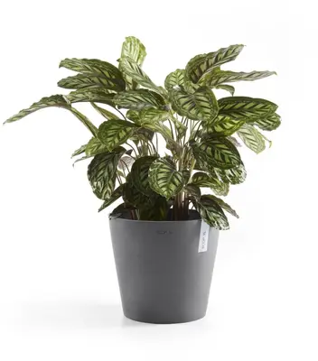 Ecopots kunststof bloempot amsterdam 40x35 cm grijs     - afbeelding 6