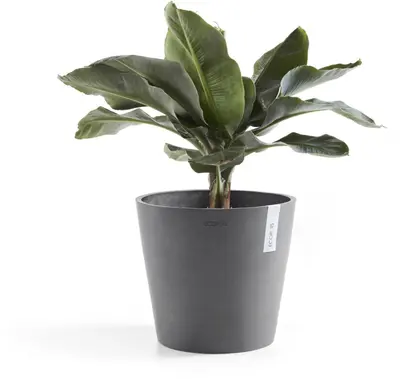 Ecopots kunststof bloempot amsterdam 40x35 cm grijs     - afbeelding 2
