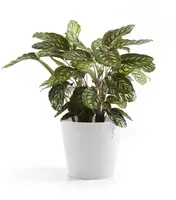 Ecopots kunststof bloempot amsterdam 40x35 cm puurwit     - afbeelding 10