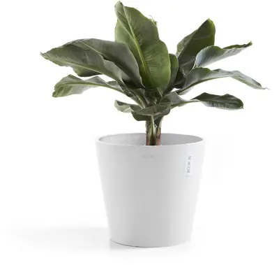 Ecopots kunststof bloempot amsterdam 40x35 cm puurwit     - afbeelding 9