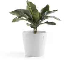 Ecopots kunststof bloempot amsterdam 40x35 cm puurwit     - afbeelding 9