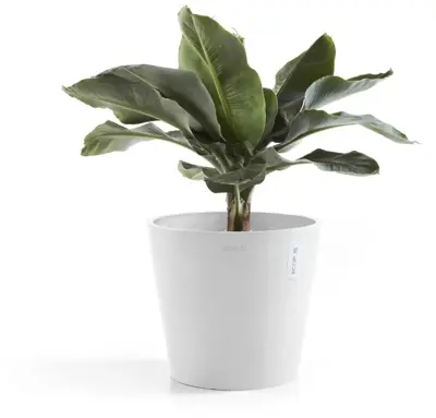 Ecopots kunststof bloempot amsterdam 40x35 cm puurwit     - afbeelding 2