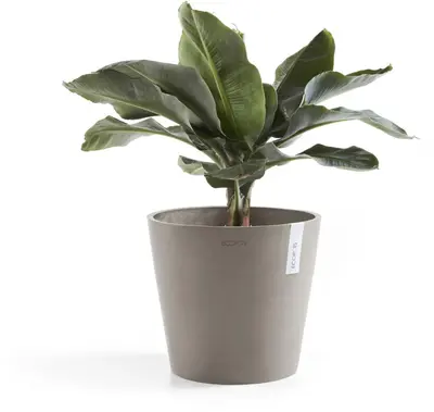 Ecopots kunststof bloempot amsterdam 40x35 cm taupe     - afbeelding 2